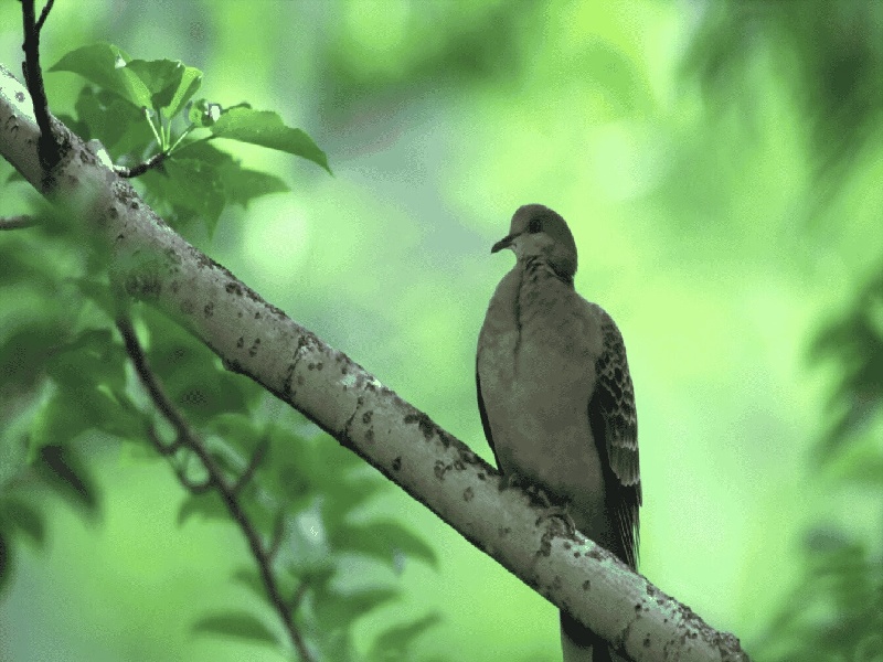 <strong>沈阳202试管明细（沈阳试管男孩医院）</strong>